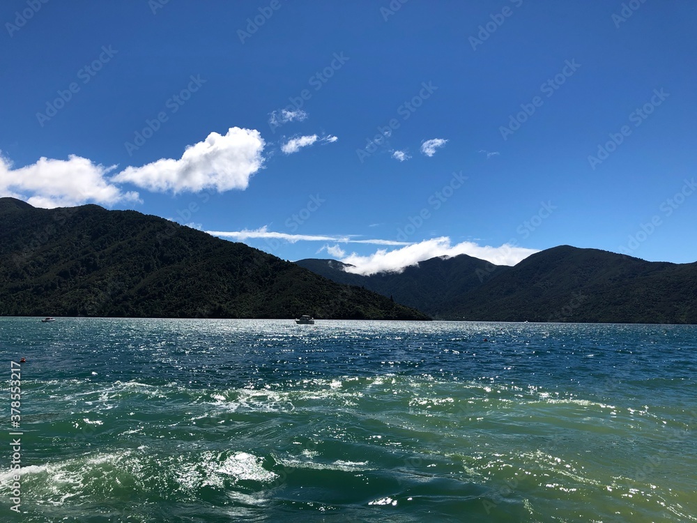New Zealand cruise trip deep blue sea - memory of life 