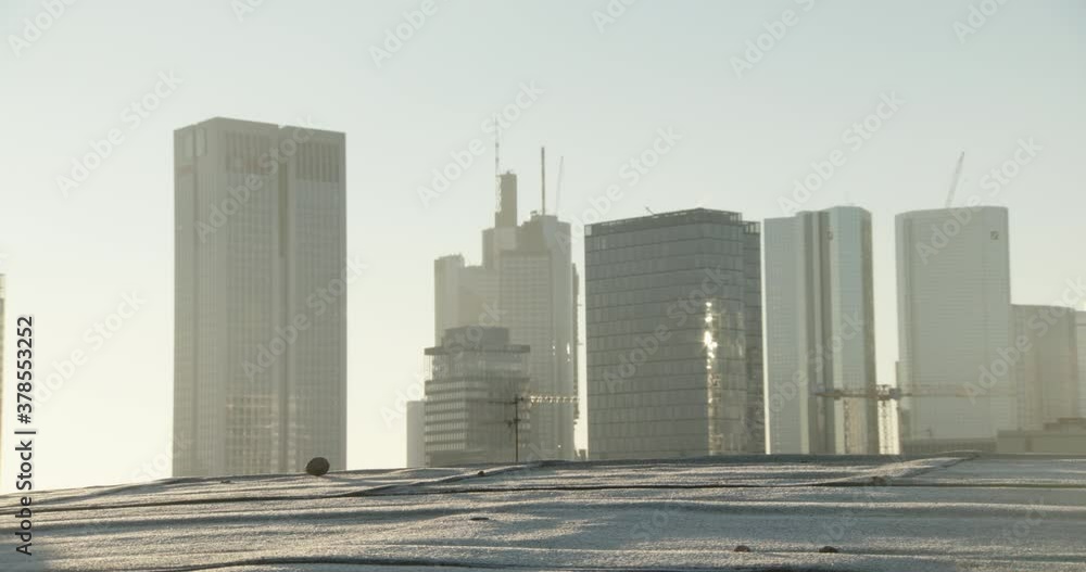Eurasian Red Squirrel running on roof against skyline Eurasian Red Squirrel running on roof against skyline