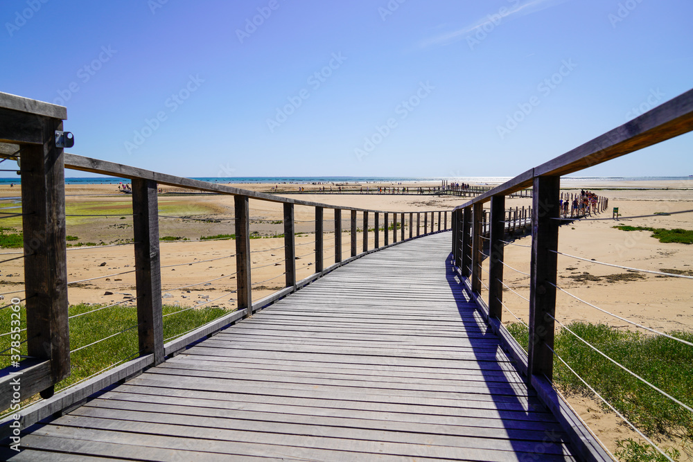 wooden sea access walkway on sand beach atlantic ocean horizon in Jard sur Mer in france