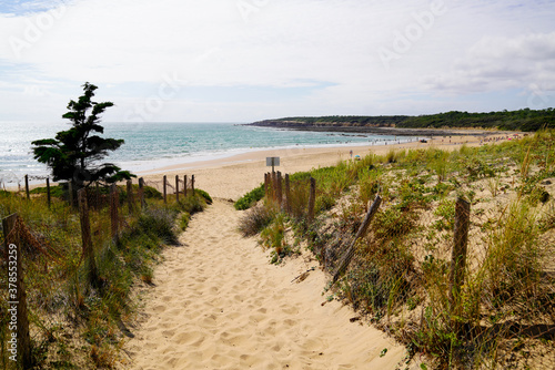 sandy pathway access to french sea beach of atlantic ocean in summer day