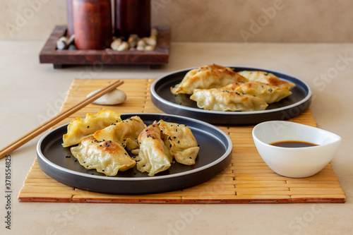 Fried dumplings with soy sauce. Gyoza. Healthy eating. Vegetarian food.