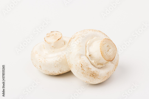 Fresh Champignon mushroom, isolated on white background. Close-up