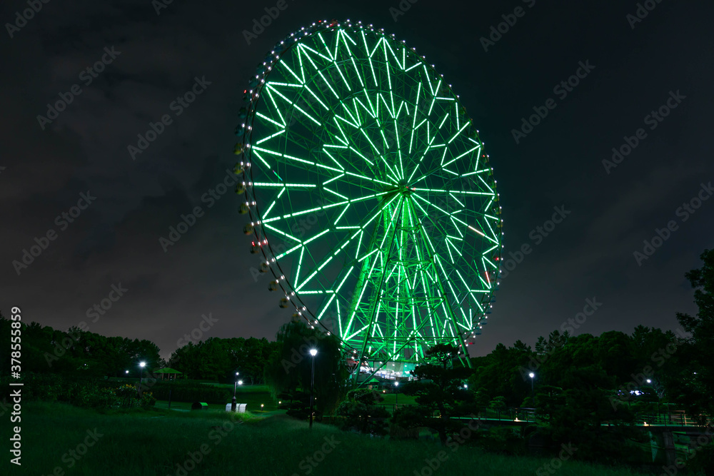 Fototapeta premium 観覧車 夜 緑