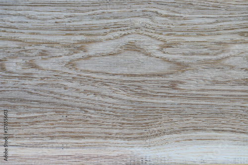 oak texture Classic oak texture with natural wood patterns. Initial wood processing. 