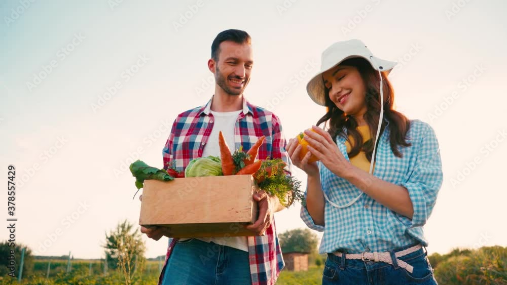 farmer holding box with fresh vegetables and walking with woman in hat ...