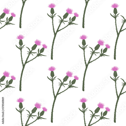 Isolated seamless pattern with burdock branches ornament. Pink flowers on white backhround. Minimalistic floral artwork.