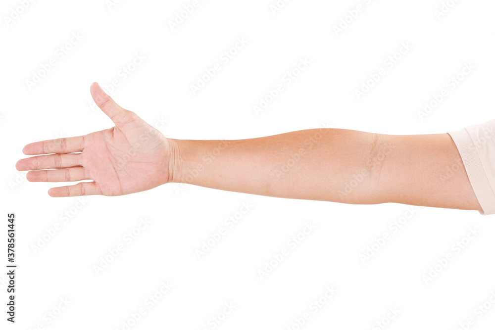 Male asian hand gestures isolated over the white background. Touching Pose. Male asian hand gestures isolated over the white background. Touching Pose.