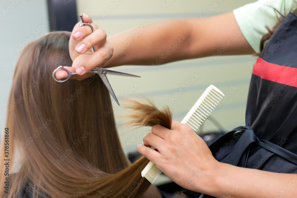 Fototapeta premium Womens hairdresser, beauty salon. Professional stylist cuts female hair in salon
