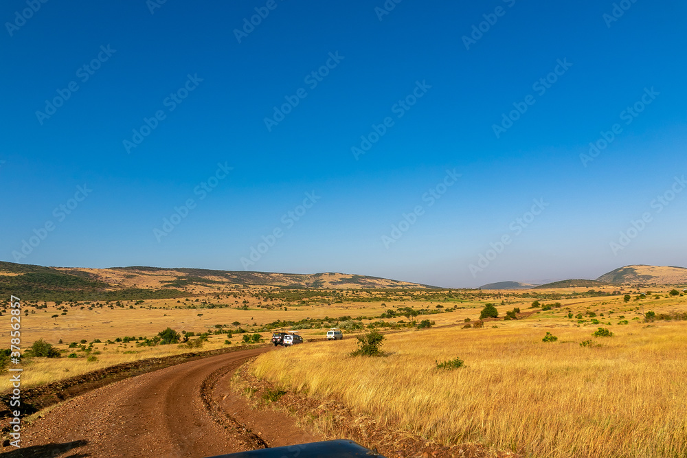 ケニアのマサイマラ国立保護区に広がる、道周辺の野原と青空