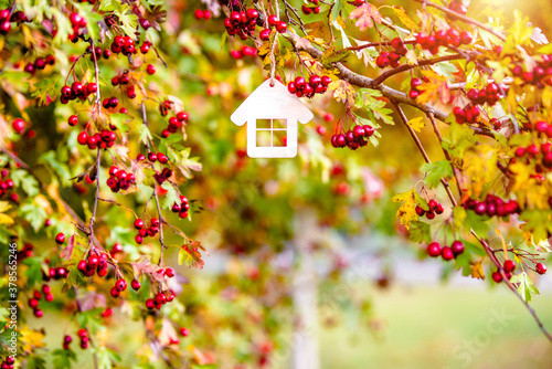 The symbol of the house among red hawthorn berries 