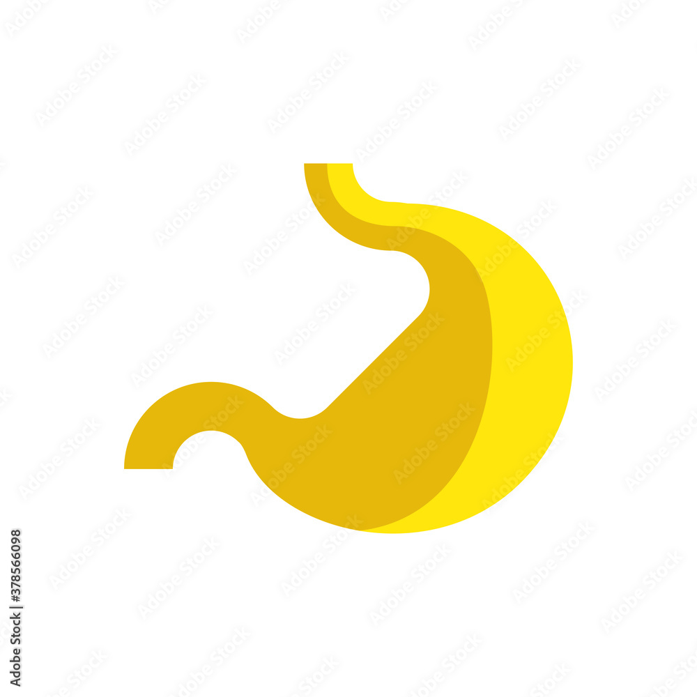 Estómago Estómago