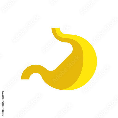 Estómago