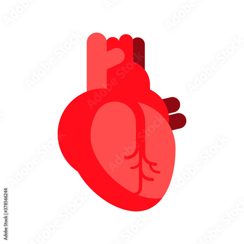 Corazon