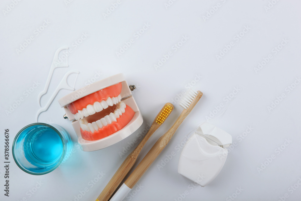 Dental model of teeth and dental care products on light background with place for text Dental model of teeth and dental care products on light background with place for text