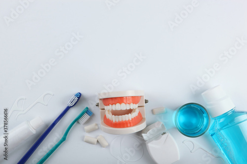 Dental model of teeth and dental care products on light background with place for text