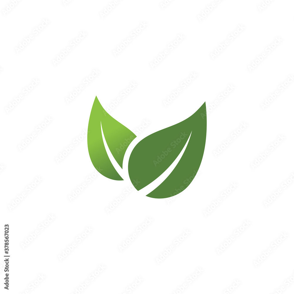 Leaf Mint Logo Template vector symbol Leaf Mint Logo Template vector symbol