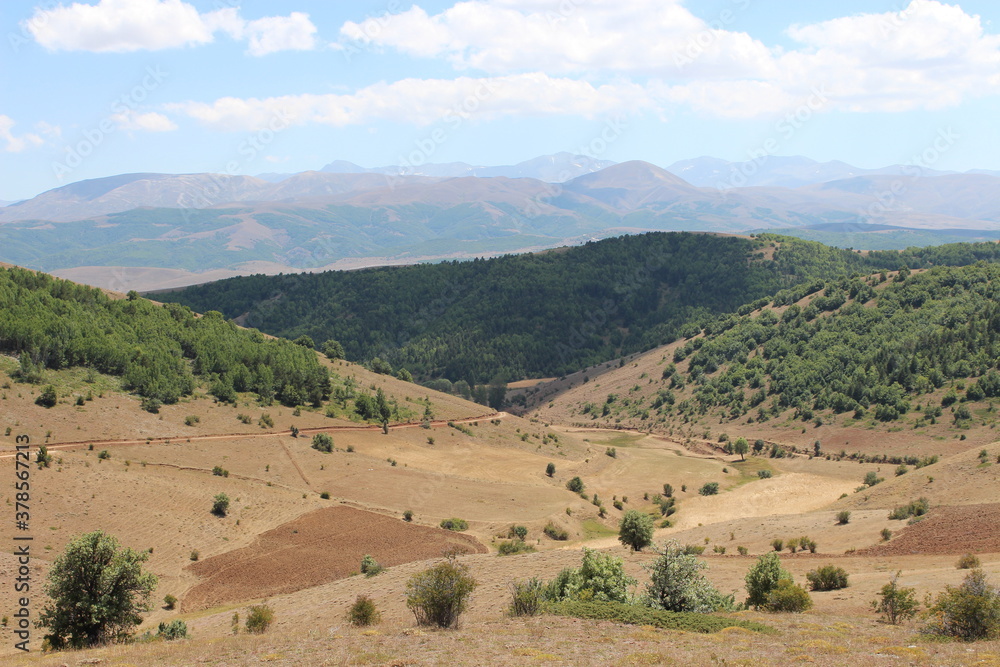 landscape with trees and mountains bayburt