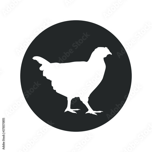 Chicken graphic icon. Chicken sign in the circle isolated on white background. Vector illustration