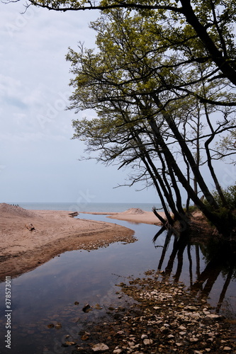 Closeup of small creek running through sandy beach, Latvia and falling into the Baltic sea on cloudy summer day. Trees growing by the creek bent over the water © Ilga
