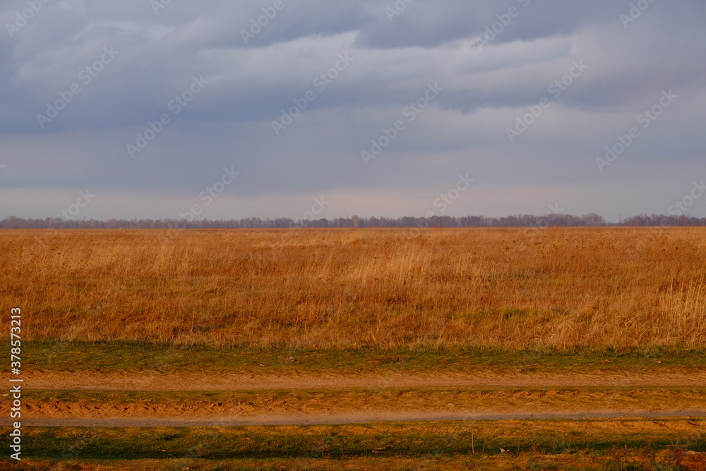 Cloudy dramatic sky over the autumn steppe. Bright dry field herbs.