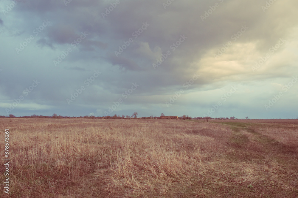 Fototapeta premium Cloudy dramatic sky over the autumn steppe. Bright dry field herbs.