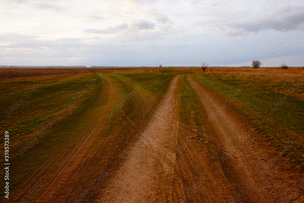 Two diverging dirt roads. A fork in two roads in a field in the late evening.