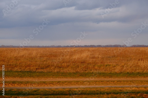 Fototapeta Naklejka Na Ścianę i Meble -  Cloudy dramatic sky over the autumn steppe. Bright dry field herbs.