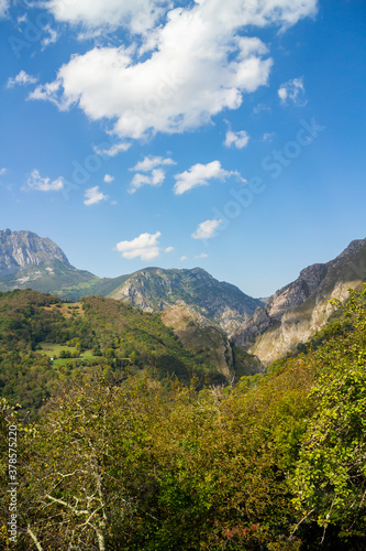 Green forests with mountains and blue sky