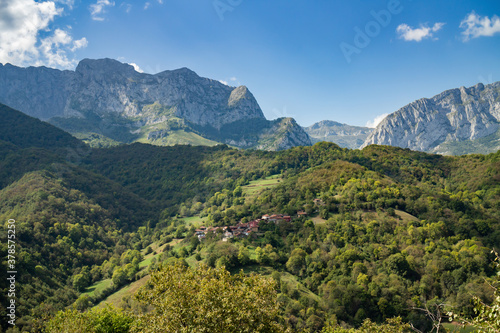 Green forests with mountains and blue sky