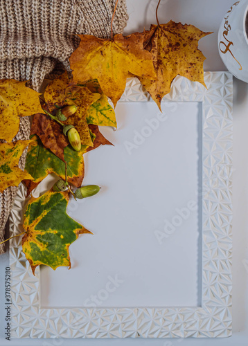 Autumn creative composition: Blank photo frame, pine cones and dried lautumn leaves isolated on a white background. Autumn background with copy space. photo