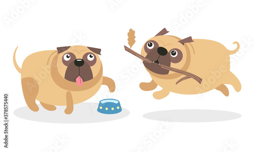 Cute Pug Hanging out Tongue and Running with Stick in the Mouth Vector Set