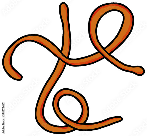 colorful hand drawn vector ebola virus