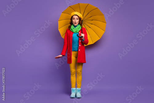 Full length body size view of nice attractive lovely pretty cute fashionable cheerful amazed wavy-haired girl holding umbrella pout lip omg news isolated on violet lilac purple pastel color background