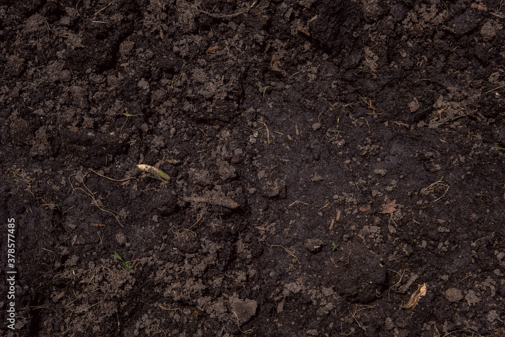 fertile ground is loosened for cultivation. fresh loam soil background. fertile ground is loosened for cultivation. fresh loam soil background.