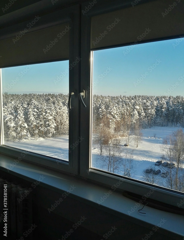 View from the window to the winter forest and snow. View from the window to the winter forest and snow.