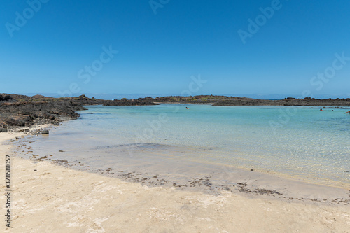 View of a beach with emerald water and dark volcanic rocks in Lobos island  Canary islands 