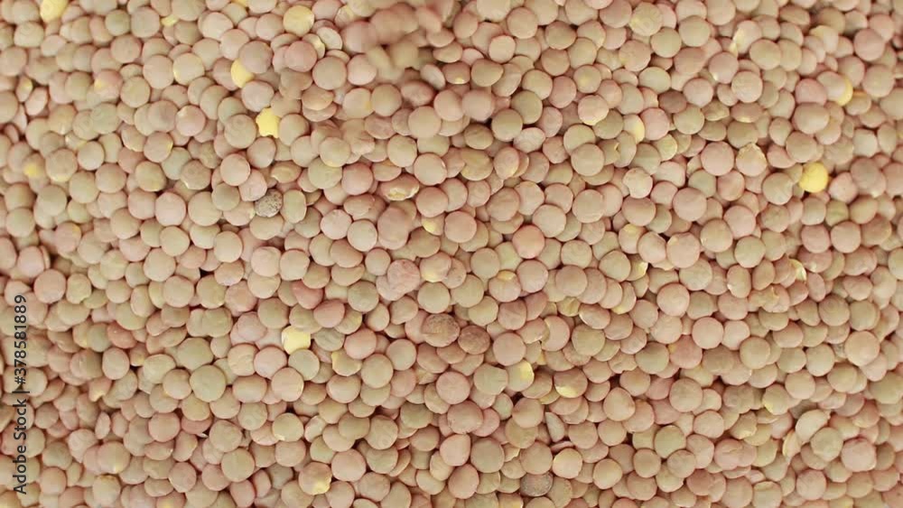 Raw organic lentil grains falling and crumbling.Texture background of lentils. Healthy eating. Top view. Food background. Ingredient for Hummus. Selective focus. Raw organic lentil grains falling and crumbling.Texture background of lentils. Healthy eating. Top view. Food background. Ingredient for Hummus. Selective focus.