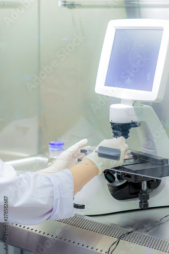 scientist working on cell culture under a microscope