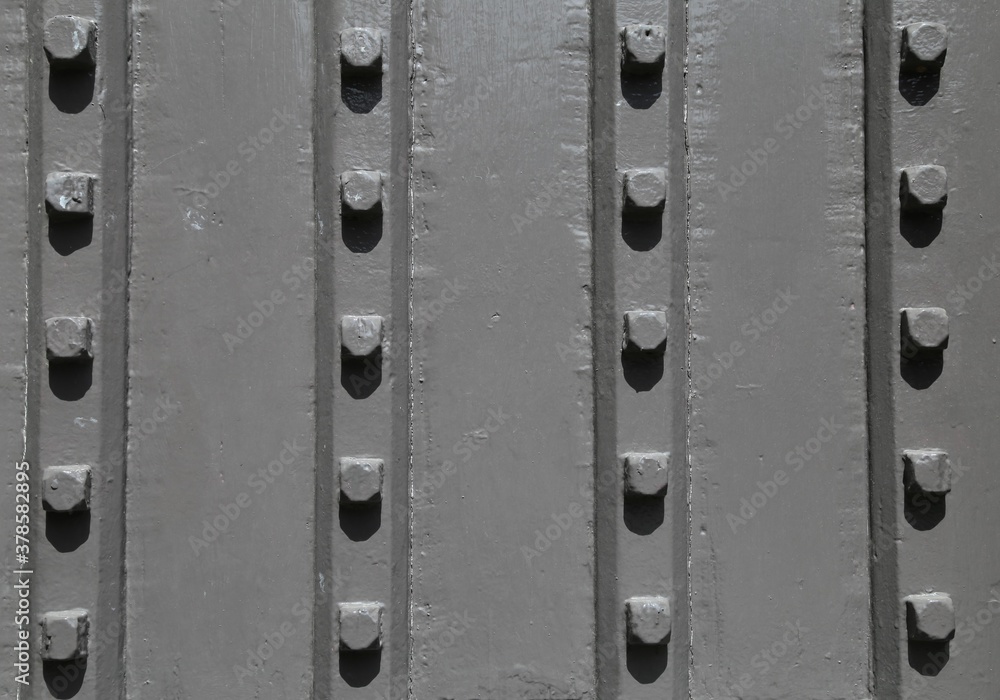 Fototapeta premium A closeup view of metal studs in a grey, wooden door.