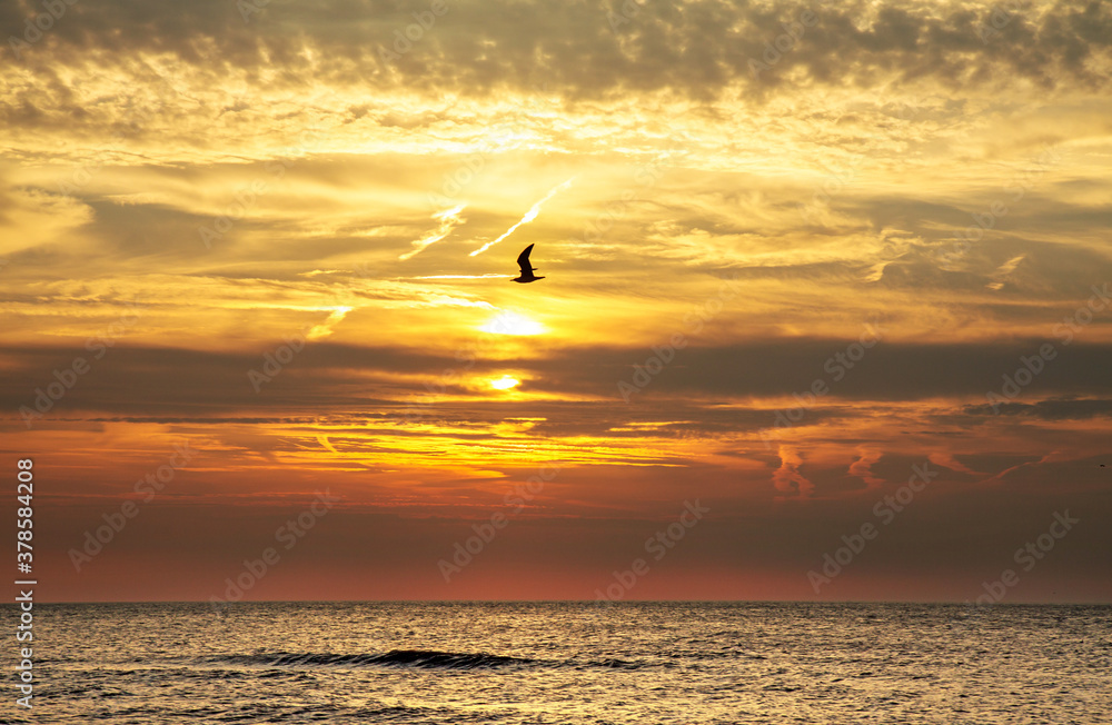 Silhouette of a seagull against a colorful cloudscape at sunet