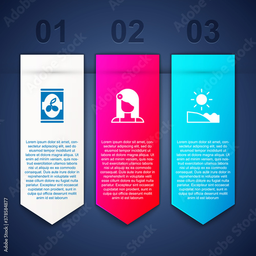 Set Olives in can, Spanish woman and Beach. Business infographic template. Vector.