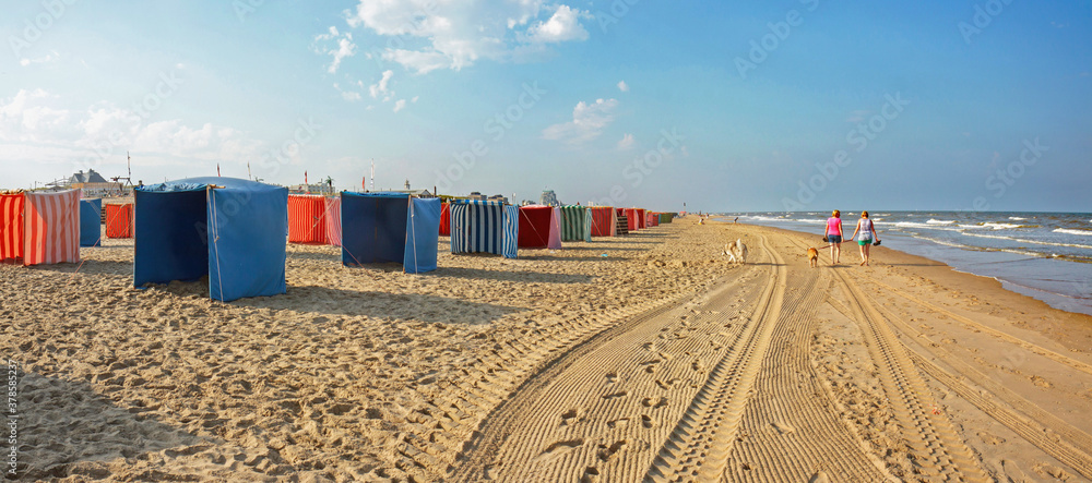 Fototapeta premium Early morning at Noordwijk beach: colorful wind breaks in a row along the surf waiting for customers