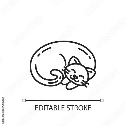 Curled up cat linear icon. Cute domestic sleeping animal. Kitten napping. Hygge lifestyle. Thin line customizable illustration. Contour symbol. Vector isolated outline drawing. Editable stroke