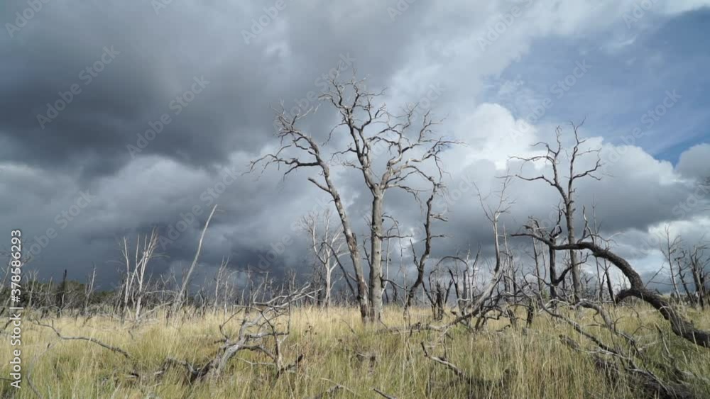The aftermath of Valley Fire, 2015, Lake County, California The aftermath of Valley Fire, 2015, Lake County, California