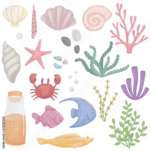 Sea or ocean elements set illustration