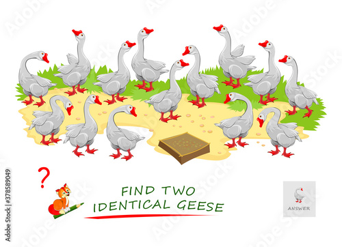 Logic puzzle game for children and adults. Find two identical geese. Printable page for kids brain teaser book. Developing spatial thinking skills. IQ test. Task for attentiveness. Play online.