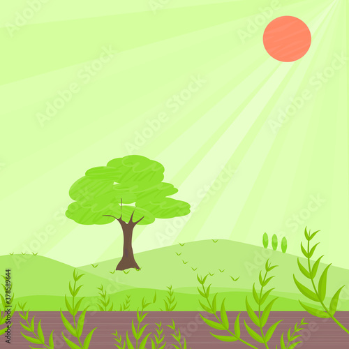Nature green field landscape countryside with trees  plants leaf  hills and sun with abstract background texture vector illustration art graphic design 
