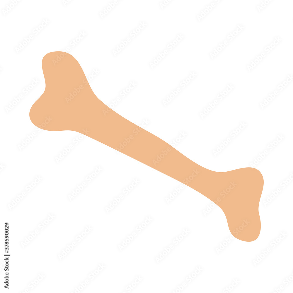 human bone body part icon flat style human bone body part icon flat style