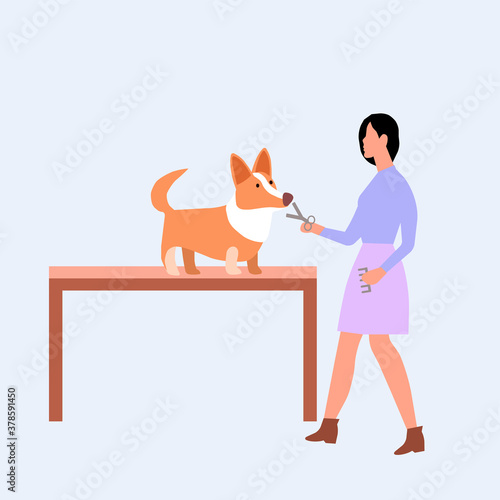 Girl cuts a dog on white background, vector graphics