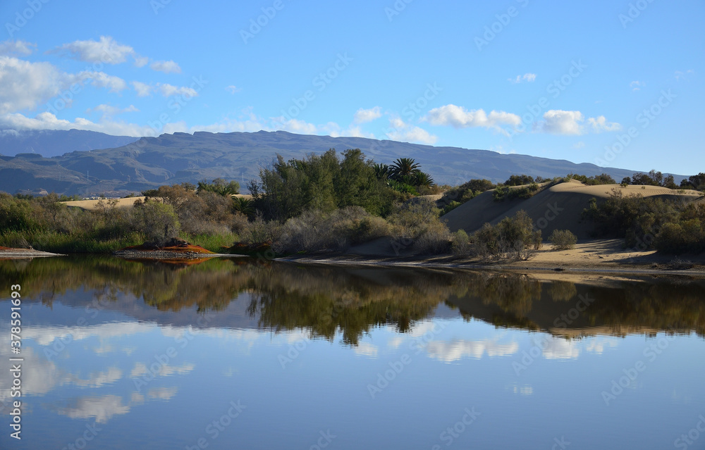 Dune landscape with vegetation and blue sky reflected in the lagoon, Maspalomas, Canary Islands